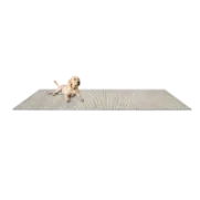 Area Rugs
