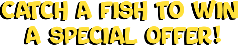 Catch a fish to win a special deal!