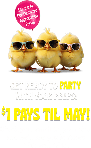 Get ready to party with your peeps! $1 pays til may!